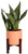 Costa Farms Live Snake Plant, Easy to Grow Houseplant in Indoor Decorative Plant Pot, Grower's Choice House Plant in Potting Soil, Housewarming Gift, Room Decor, 1-2 Feet Tall